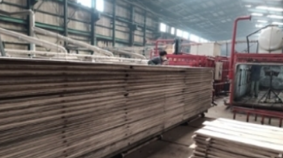 上海木材真空干燥设备：引领加工革新